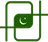 Pakistan Detectors Technology logo