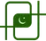 Pakistan Detectors Technology logo
